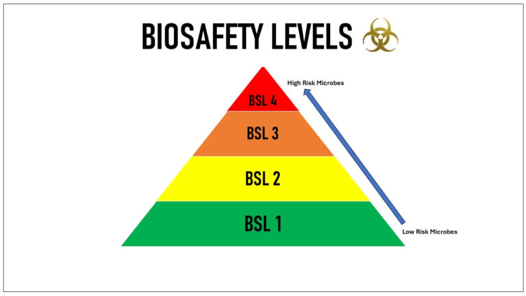 Biosafety Levels in Clinical Labs